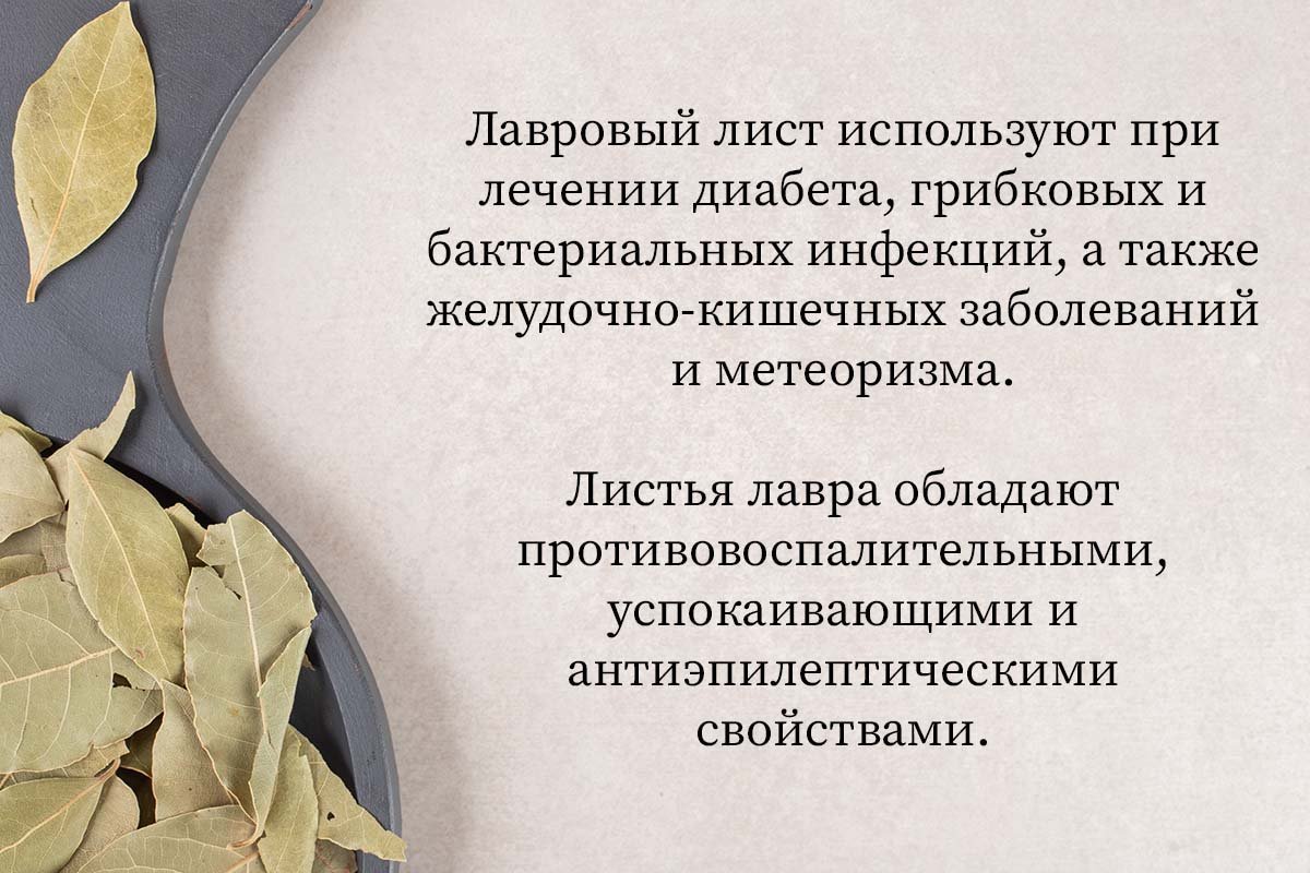 Для чего рассасывать 1 лавровый лист в день