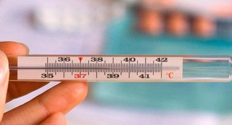 Топ-8 продуктов при высокой температуре и то, что важно знать о питании в этот период