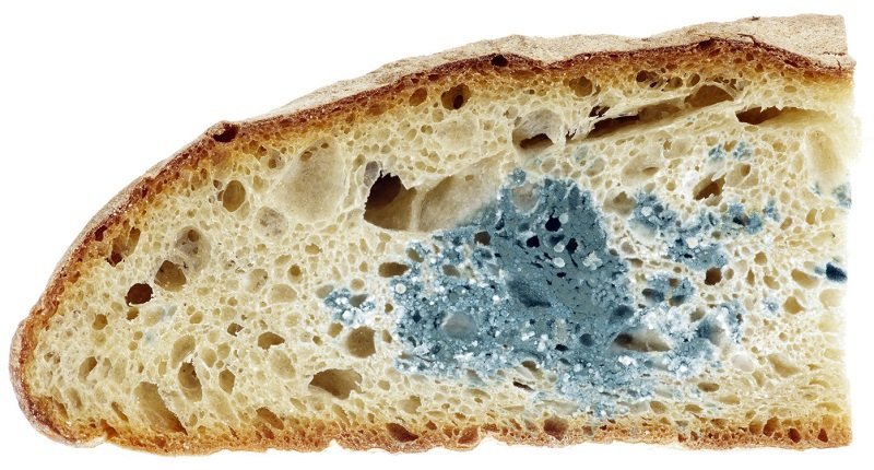 Безопасно ли на самом деле есть продукты с плесенью