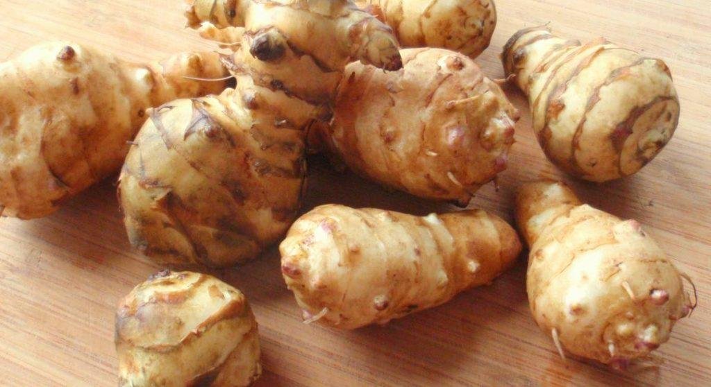 Бесплатный инсулин растёт на огороде