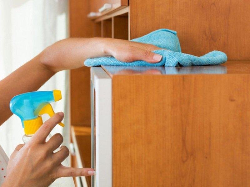 Спрей для защиты от пыли за копейки: всего 2 ингредиента