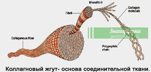 Через 7 дней вы забудете о таких проблемах, как боли в ногах, суставах или спине