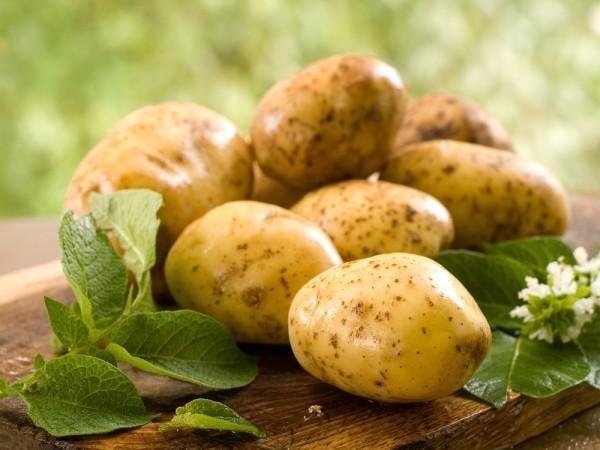 ОНА НАТИРАЛА ЛИЦО КУСОЧКОМ СЫРОГО КАРТОФЕЛЯ КАЖДЫЙ ДЕНЬ НА НОЧЬ…